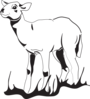 Lamb In The Grass Clip Art